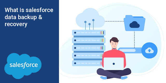 What and How of Salesforce Data Backup and Recovery